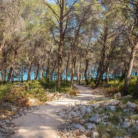 Konstanca Hébergement de vacances Šibenik